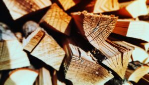 Mérule sur bois de chauffage : comment l'éviter ?